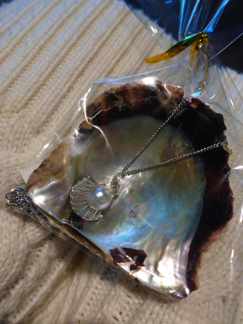 しながわ水族館の体験ブースで貝から取り出した真珠をネックレスに加工してもらった画像。貝の殻に引っ掛けられ、透明な袋で簡易的にラッピングされている。