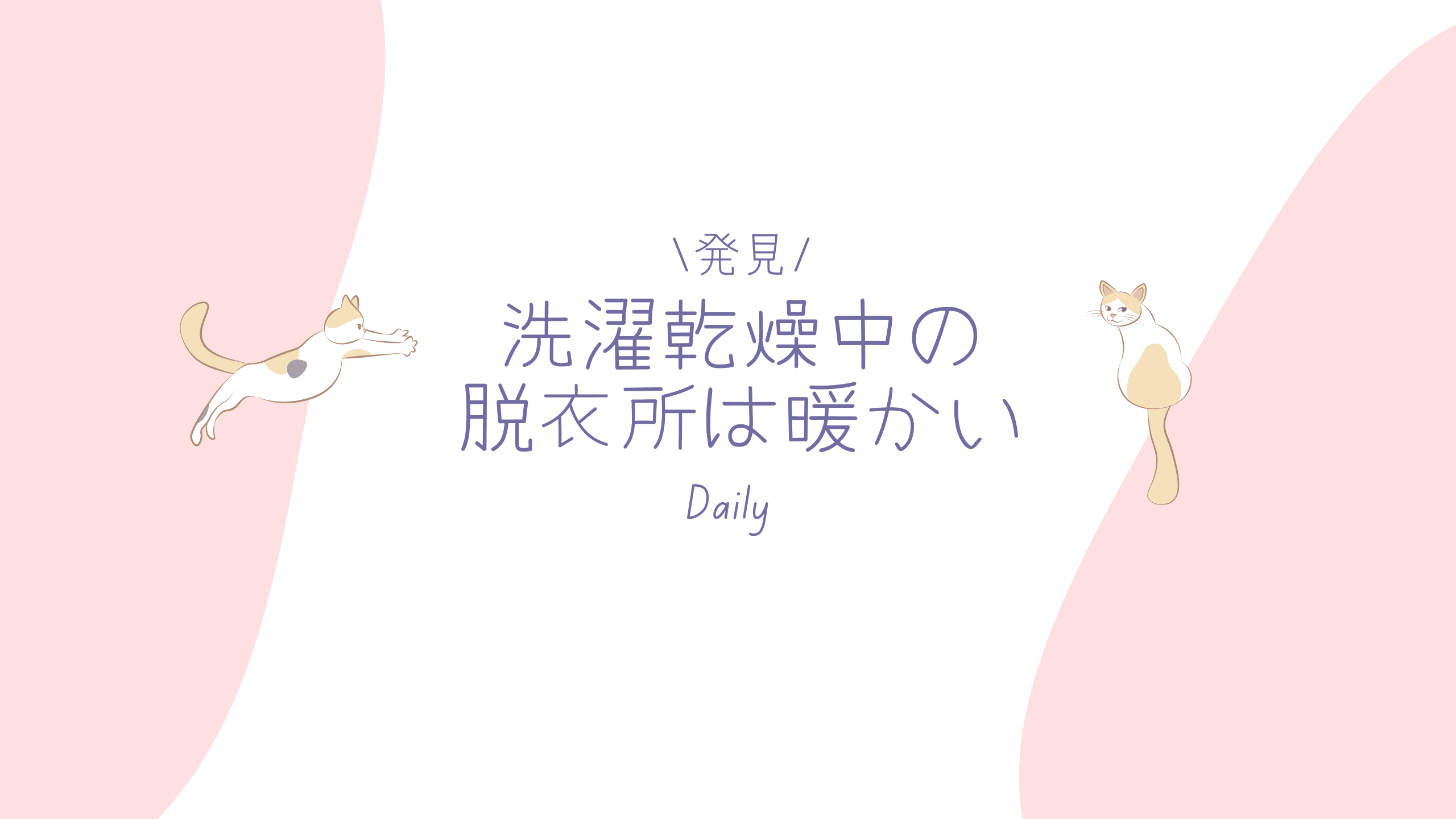 洗濯乾燥中の脱衣所は暖かい